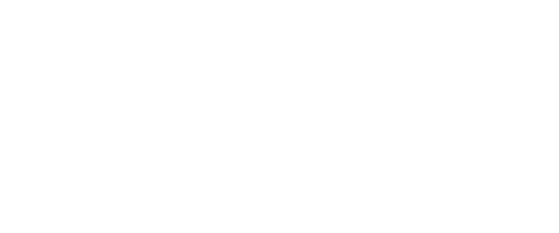 site logo white